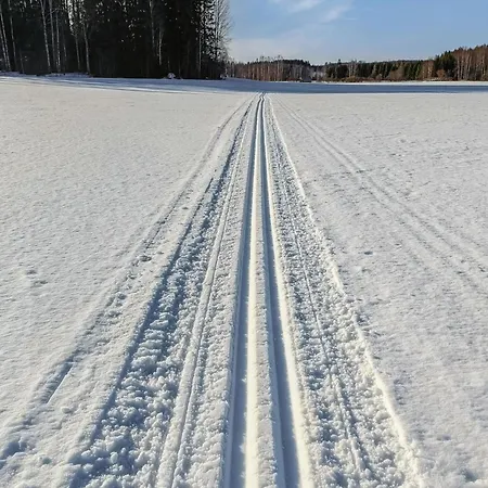 Iltarusko By Interhome Prázdninový dům Ruokonen