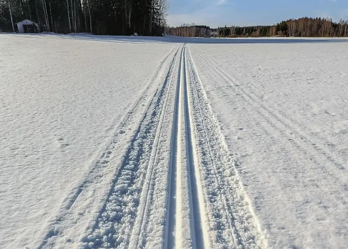 Iltarusko By Interhome 度假居 Ruokonen